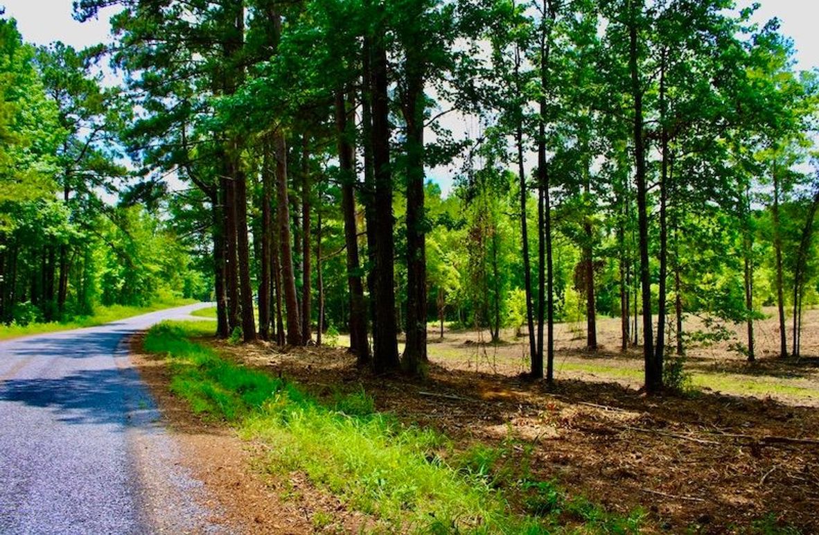 1FD570F7-E5FE-4212-AADB-EF380C373793_1_105_c