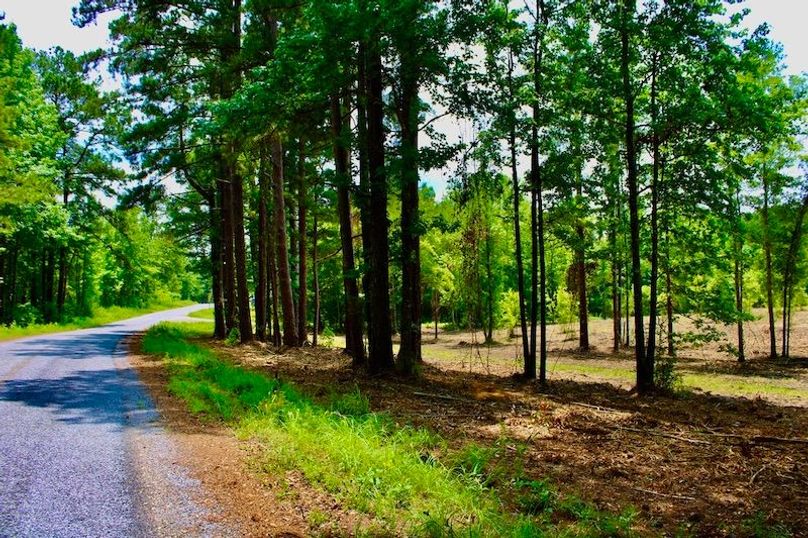 1FD570F7-E5FE-4212-AADB-EF380C373793_1_105_c