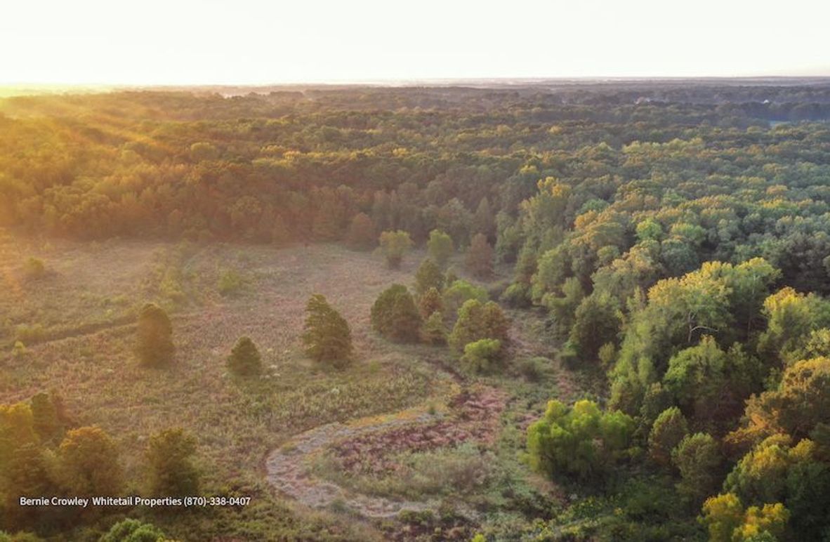 DeSoto 109 Prewett -2