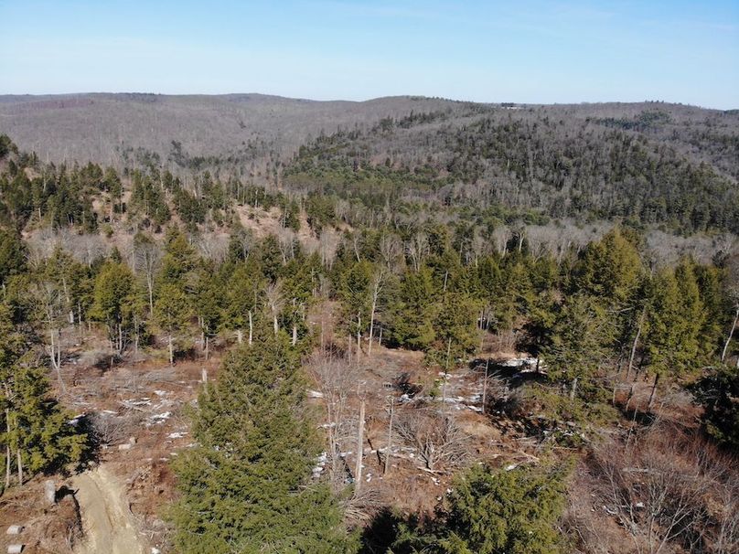 DJI_0138