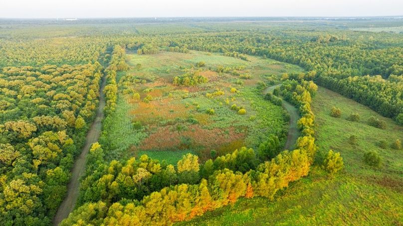 MadisonParLa1372-103