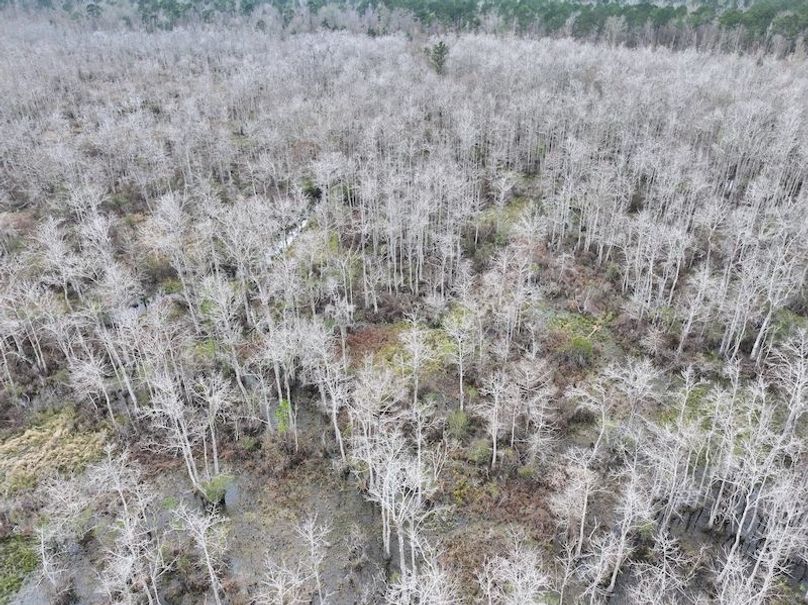 dji_fly_20260123_134208_0966_1769444763995_photo