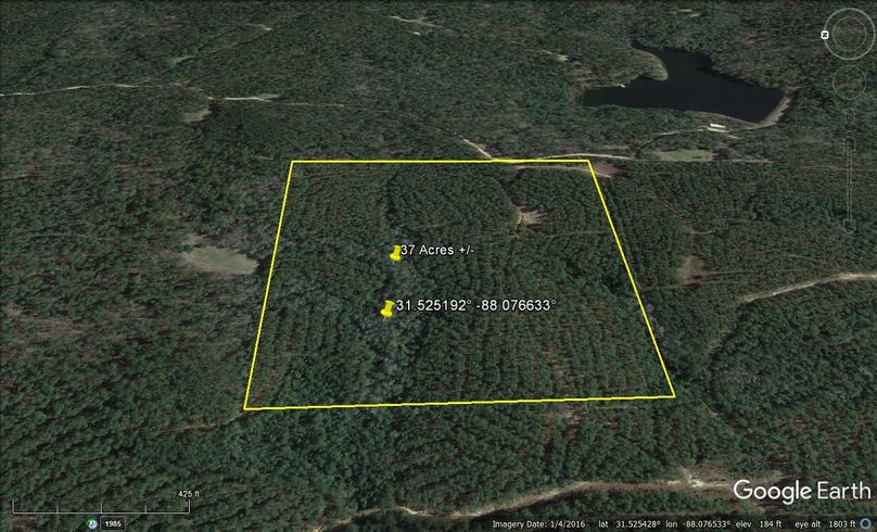 Aerial #3 Approx. 37 Acres Washington County, AL