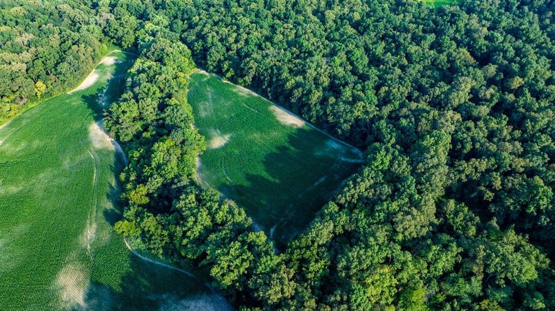 Copy of DJI_20250806052406_0025_D Large