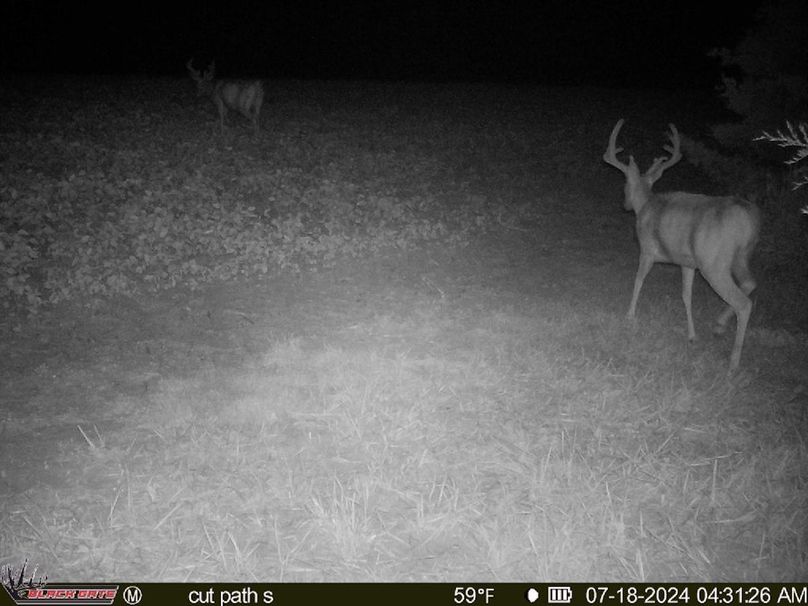 blackgate-media_47483845281883