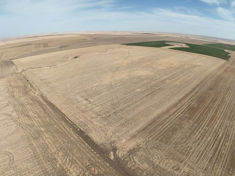 DJI_0378