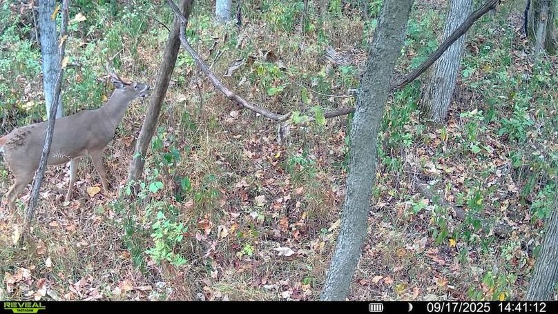 016578004192461-93-4-09172025144112-SYFW00947