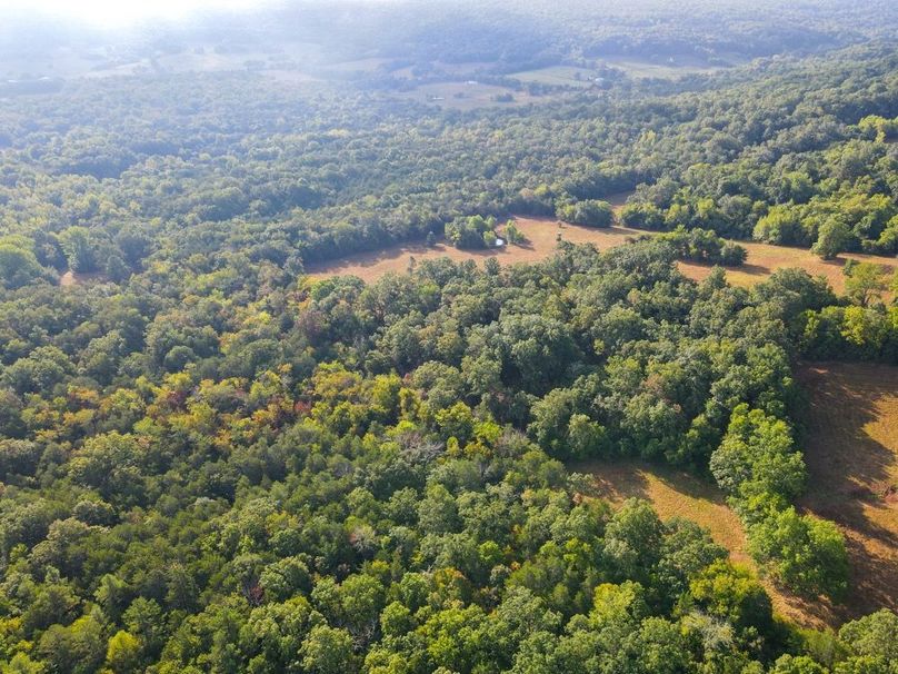 dji_fly_20250826_083452_680_1756215308103_photo