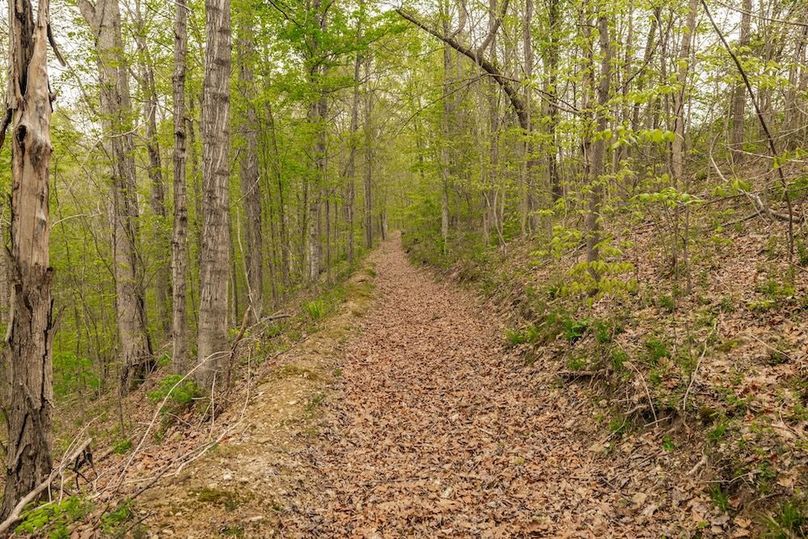 82-web-or-mls-1103 Johnny Spears Rd-90