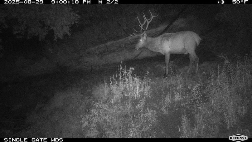 27CD2E27-2D74-4F61-8B55-109E6232E263