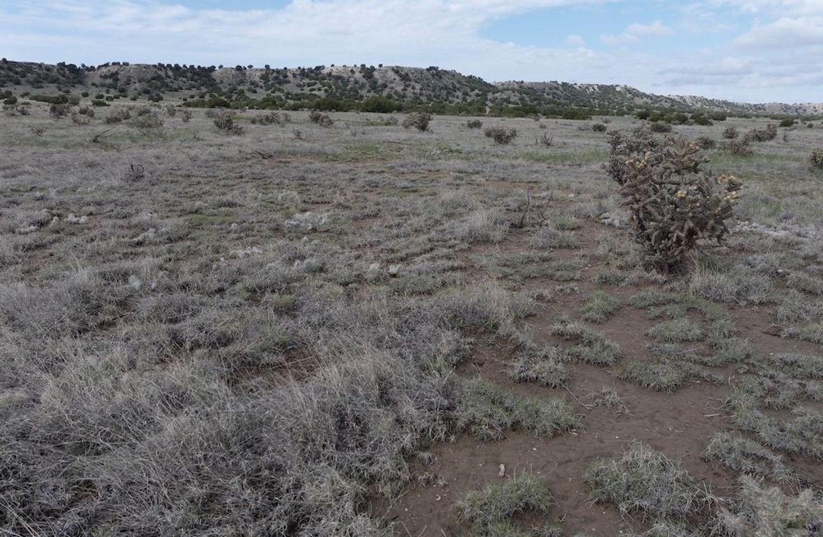 Las Animas CO 40 Carey 1