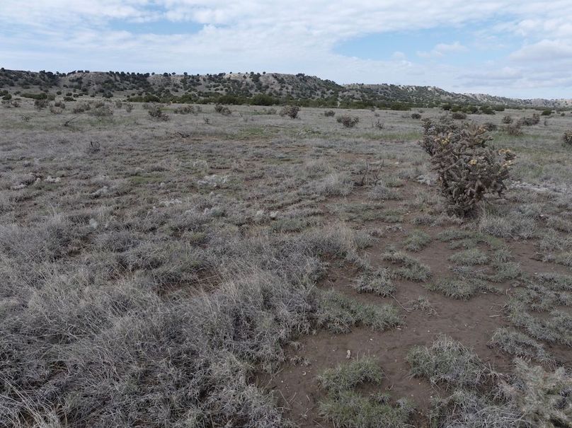 Las Animas CO 40 Carey 1