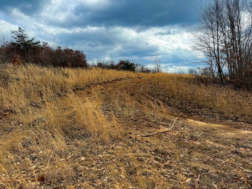 Doddridge, WV 79.08 AC Adams-66