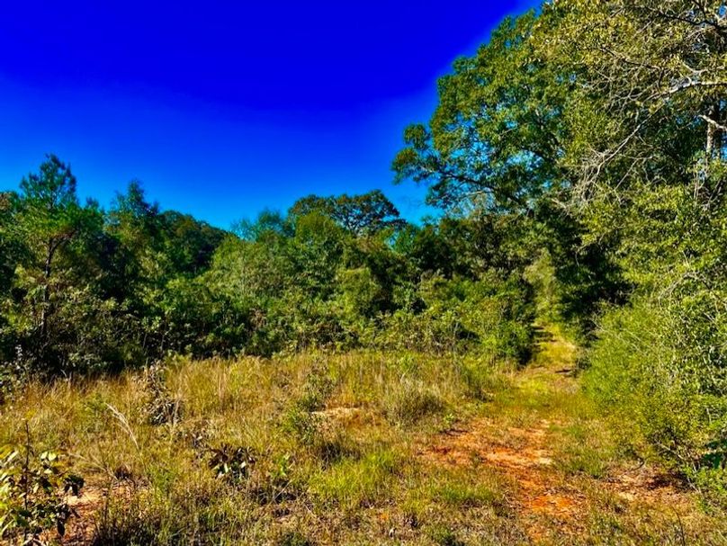 8A20D7D7-FFF6-45EB-B5D1-36E2798C071A_1_105_c