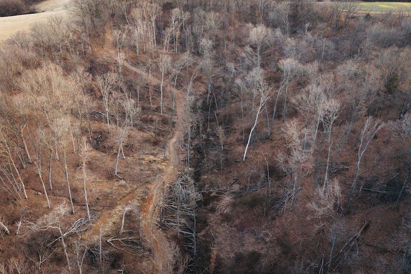 DJI_20260218171020_0709_D