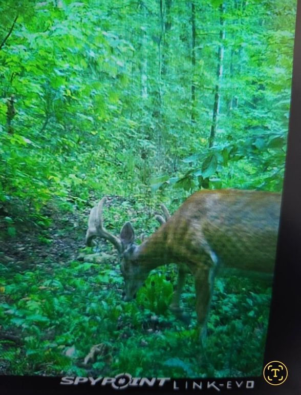 2095611356518311395 2