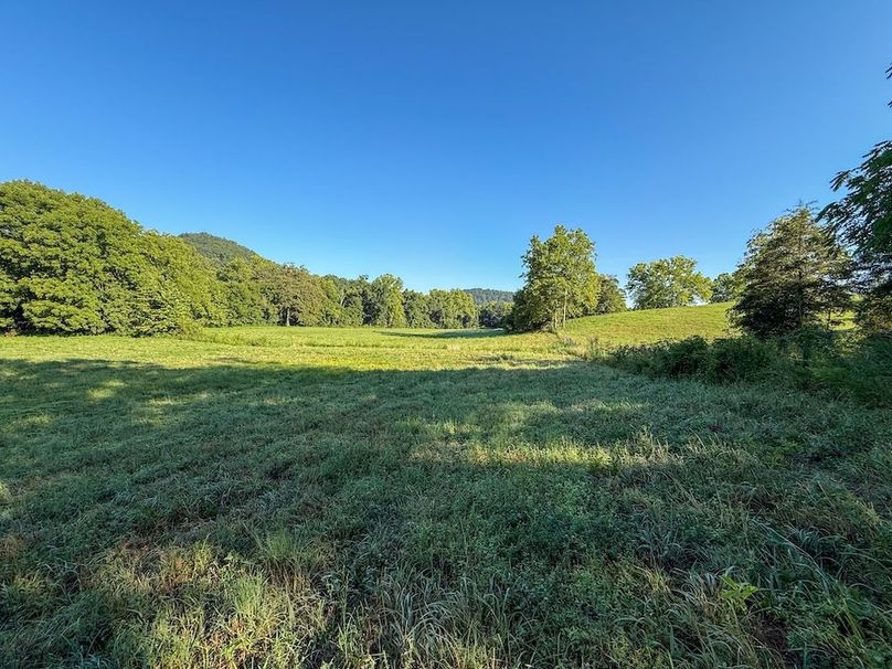 Fleming 32.98 new pic -06