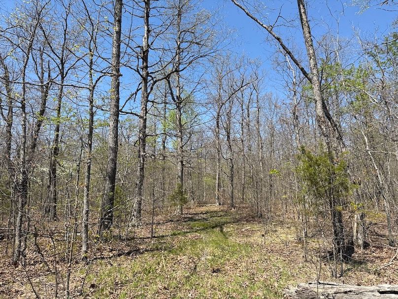 DJI_20260408_135759_081