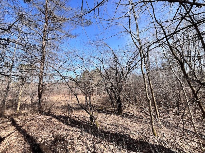 Lewis_26_Somberg Photo 52