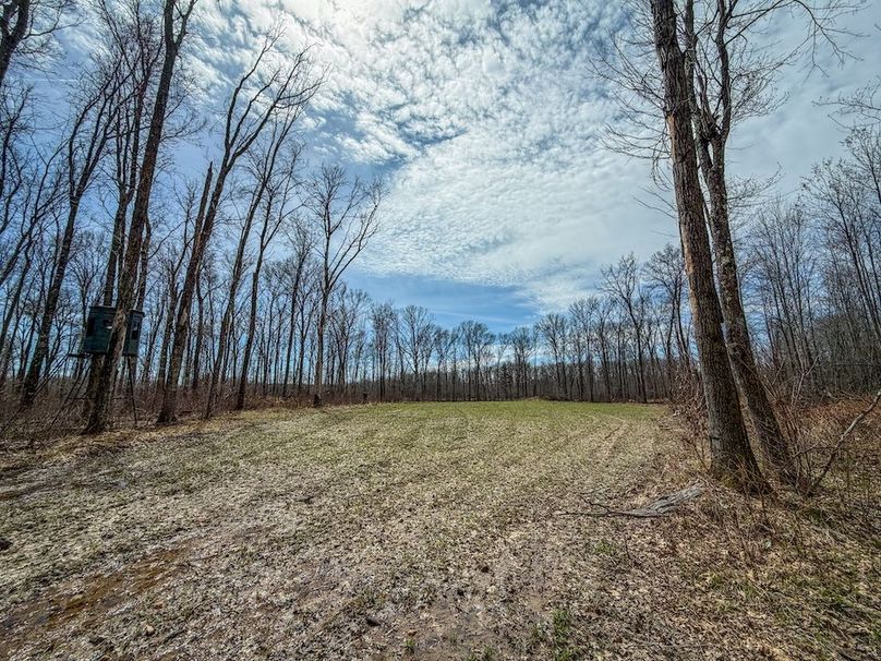 ClarK 160 WILLIAMS -4