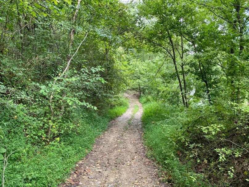 015 the access road leading through the property to the northeast