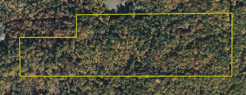 Screenshot 2026-01-14 at 4.09.58 PM