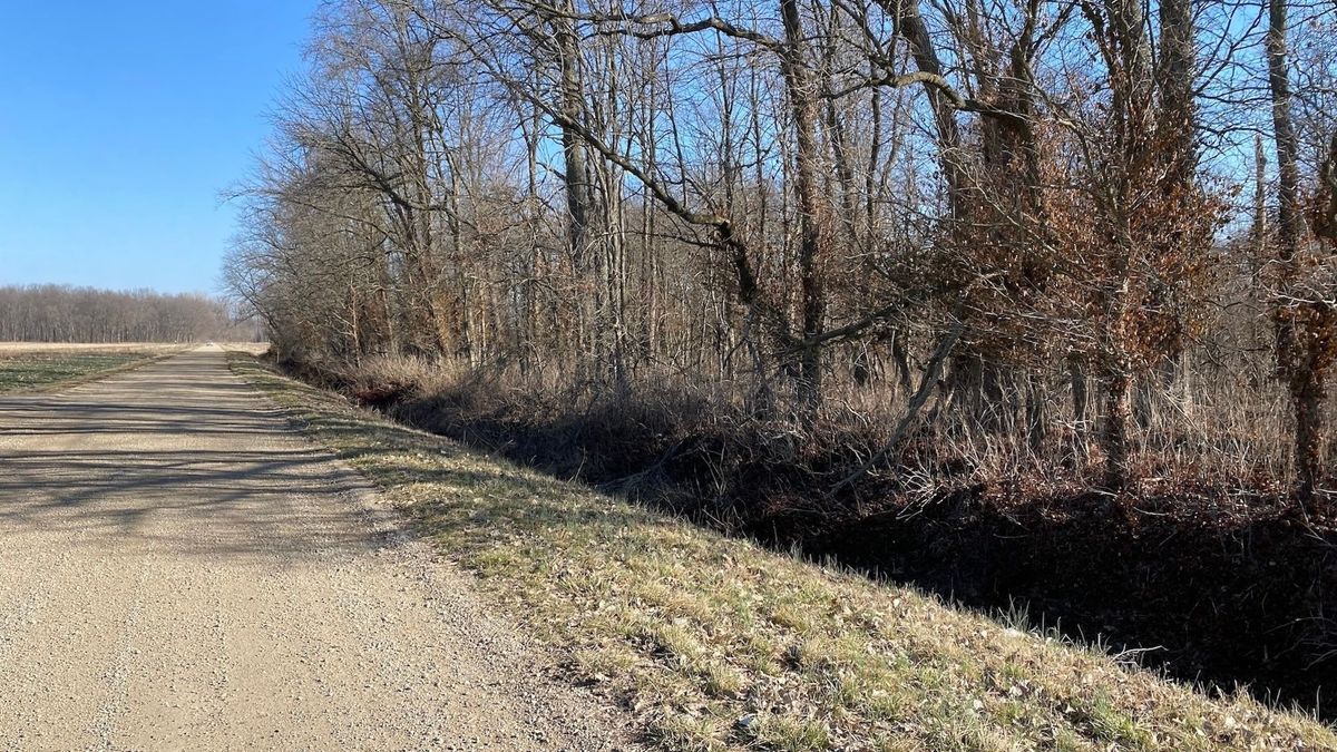 Small Property With Hunting Opportunities In The Embarras River Bottoms