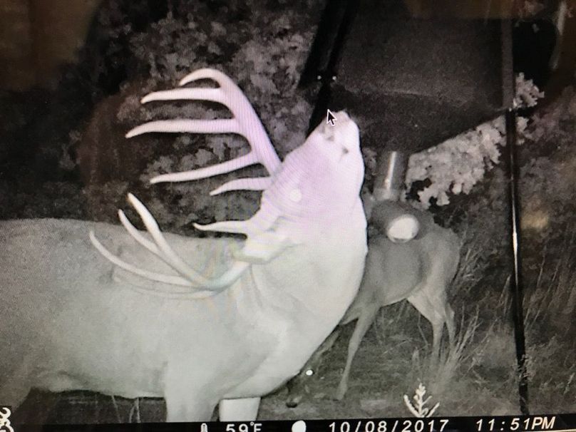 D1684966-2BF7-46D4-A584-8508D8522DB1