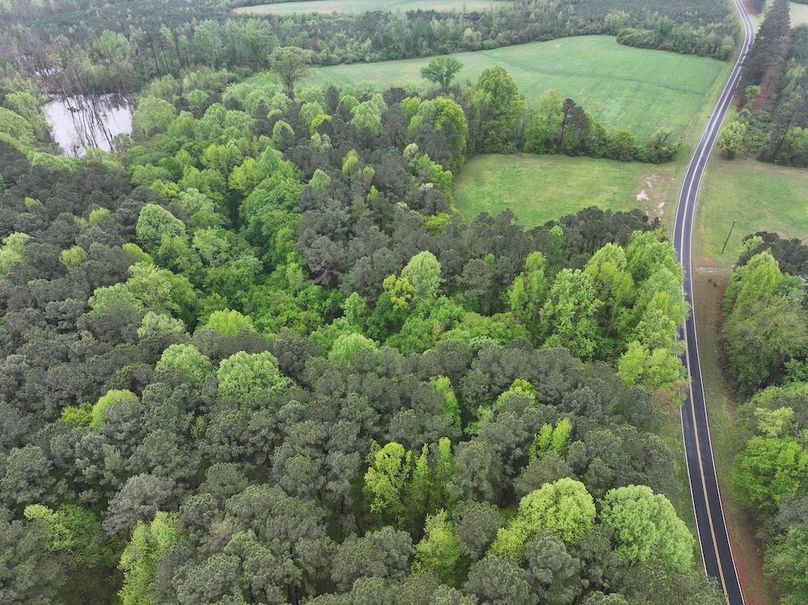 DJI_20250411111233_0030_D
