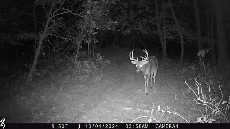 Sauk 174 Trailcam - 23