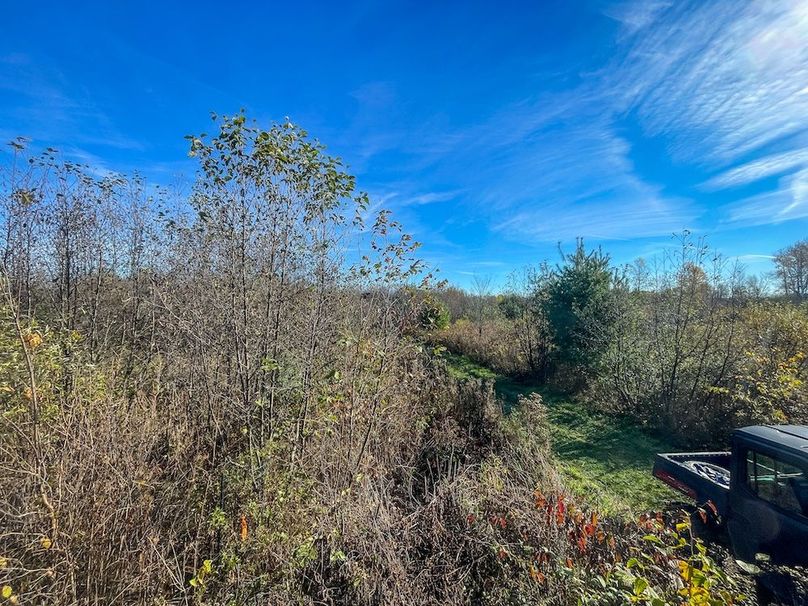 Clark 24.75 Winkel -18