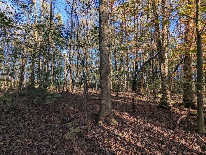 PXL_20251001_215523053