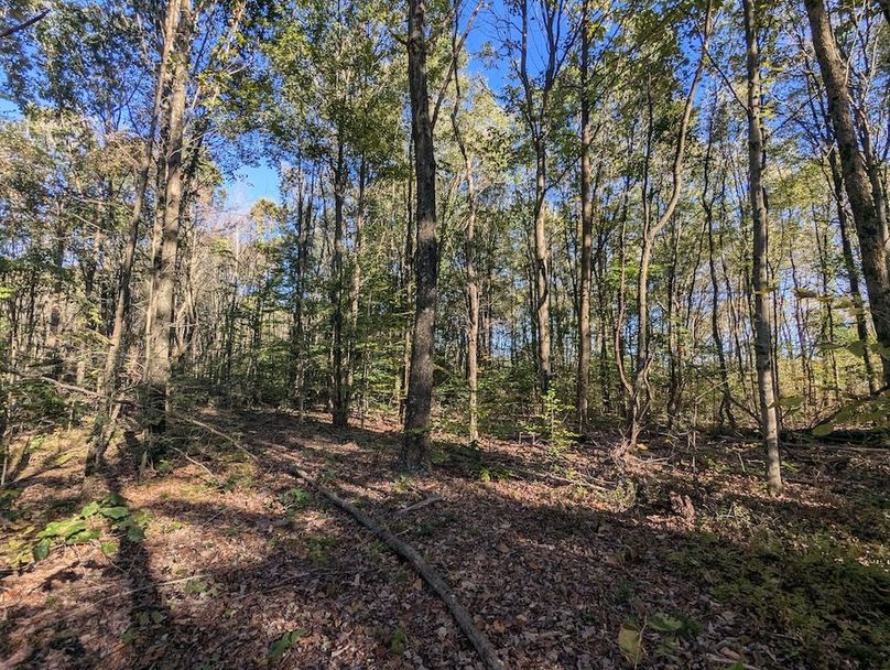 PXL_20251001_205519078