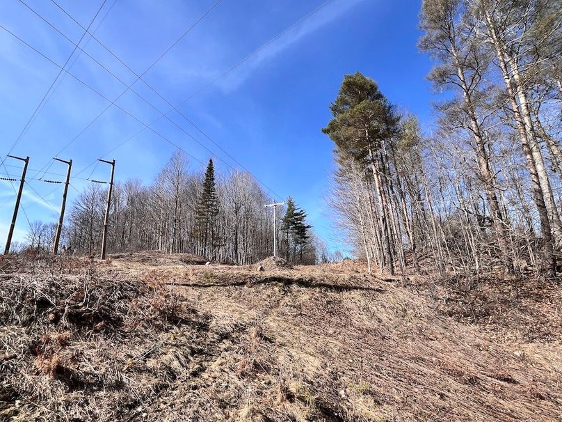 Lewis_26_Somberg Photo 7