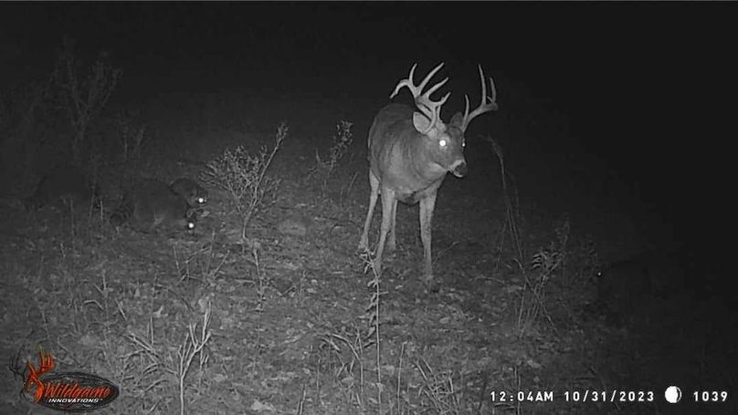 received_1472334263361823