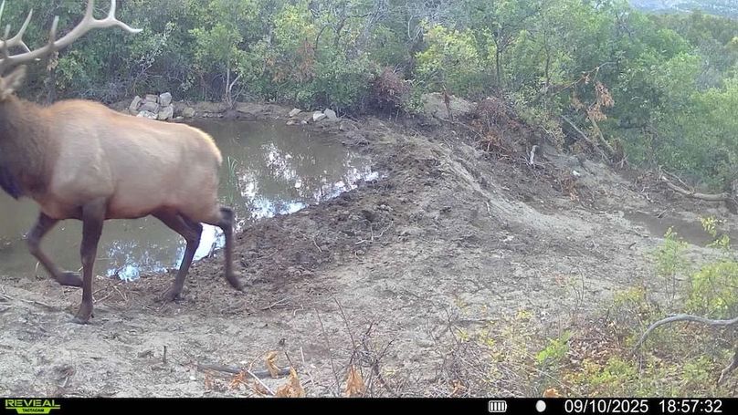 016578004083249-81-2-09102025185732-V-SYFW00187