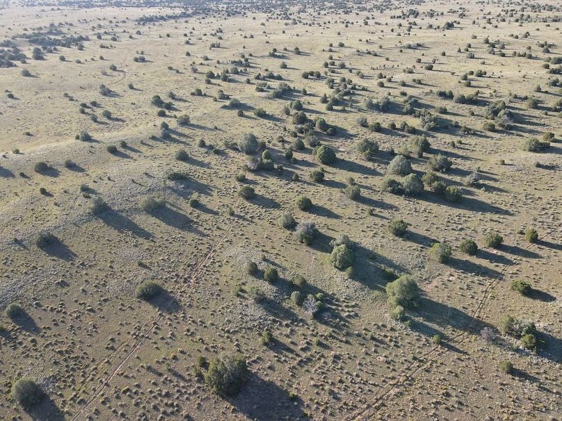 dji_fly_20240816_074924_511_1723816194694_photo