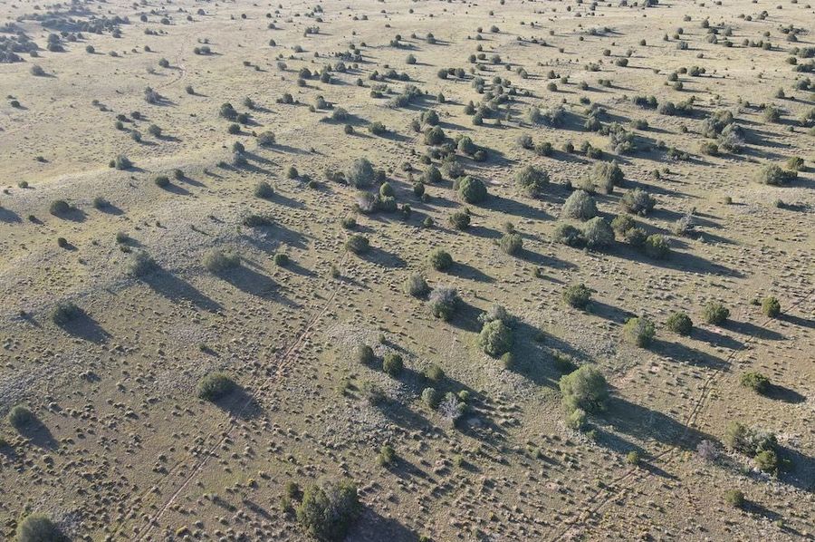 dji_fly_20240816_074924_511_1723816194694_photo