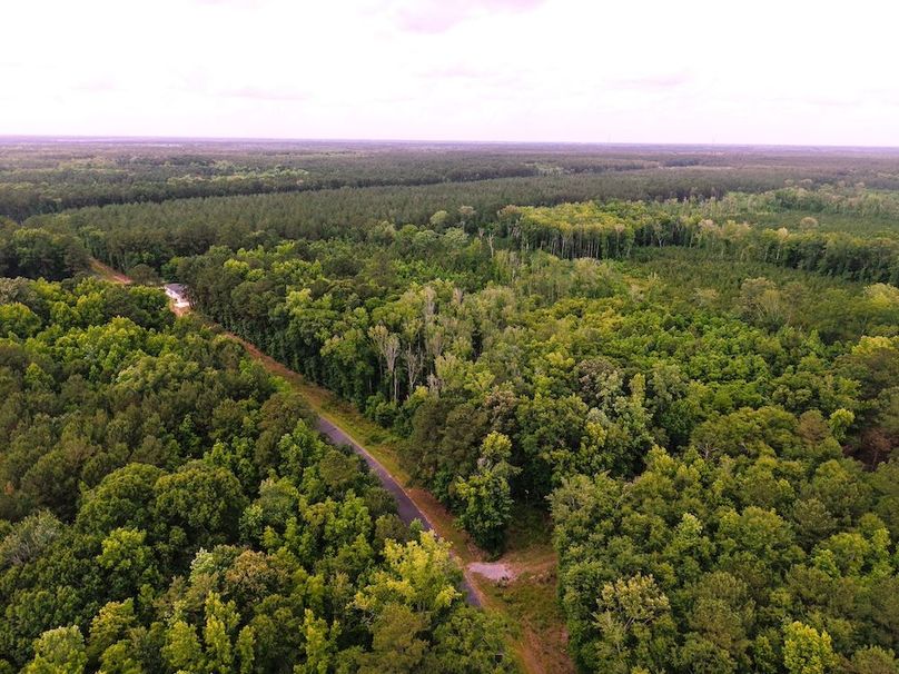 DJI_20260527154156_0201_D (1)