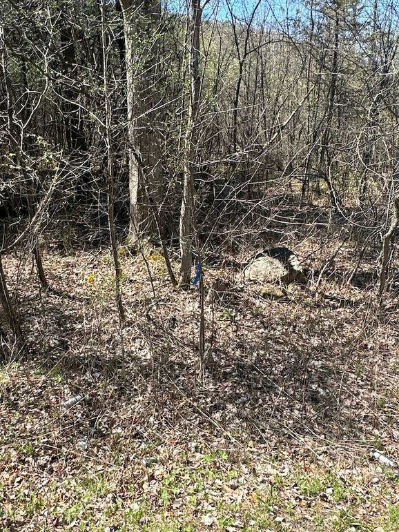 GC 67.97 Lime Kiln Land llc3