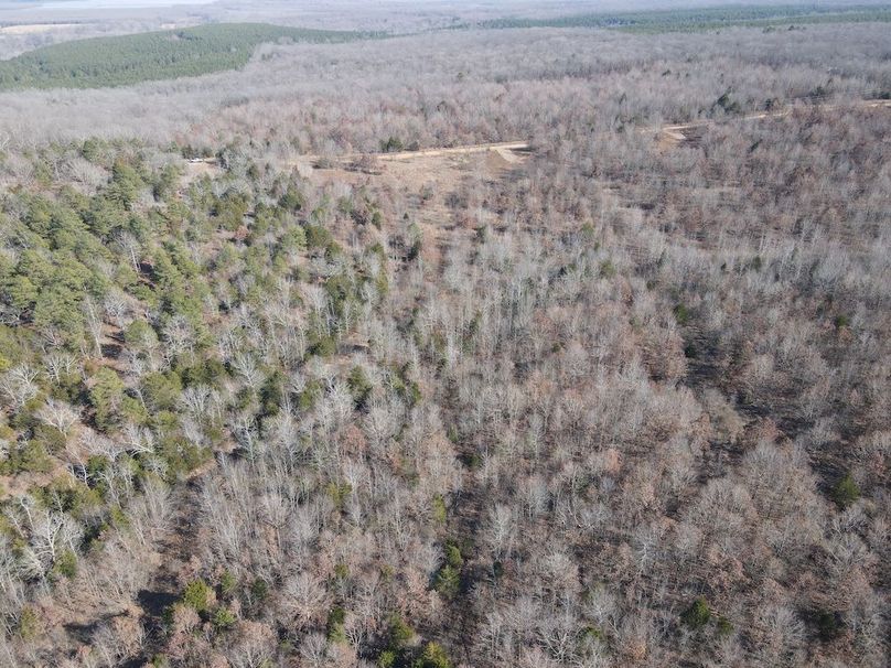 dji_fly_20250213_142702_19_1739478434014_photo