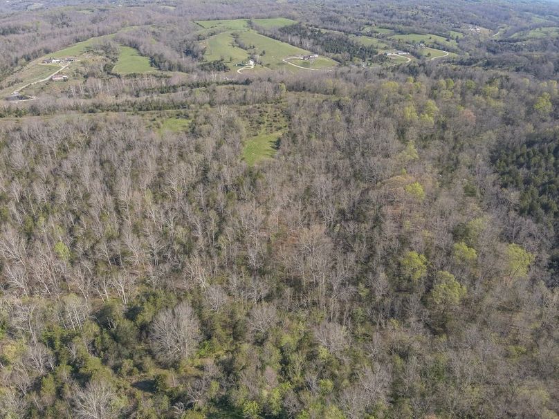 17-DJI_20260412100538_0002_W