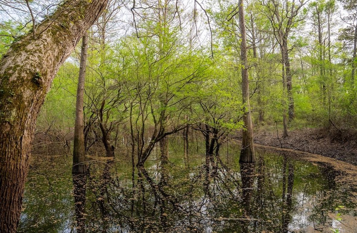 5 Copy of Copy of 74 Marion TX 143 and 117 Featured_ProPhoto-11