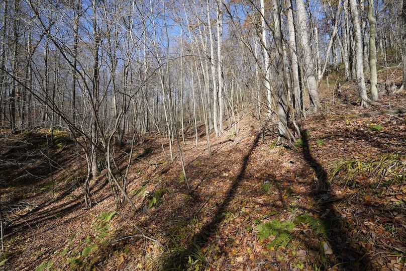 Somerset, 10.91, Tinkey-24