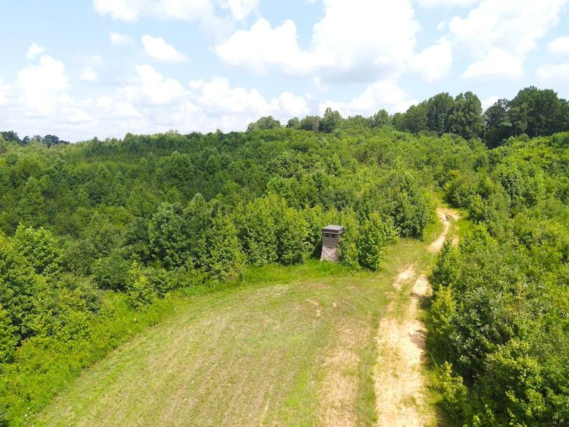 dji_fly_20250729_113102_822_1753803085674_photo