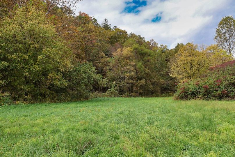 036 groomed fields along the creek