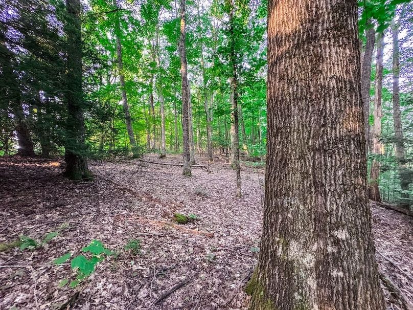 Webster, WV 42 AC Barger-31