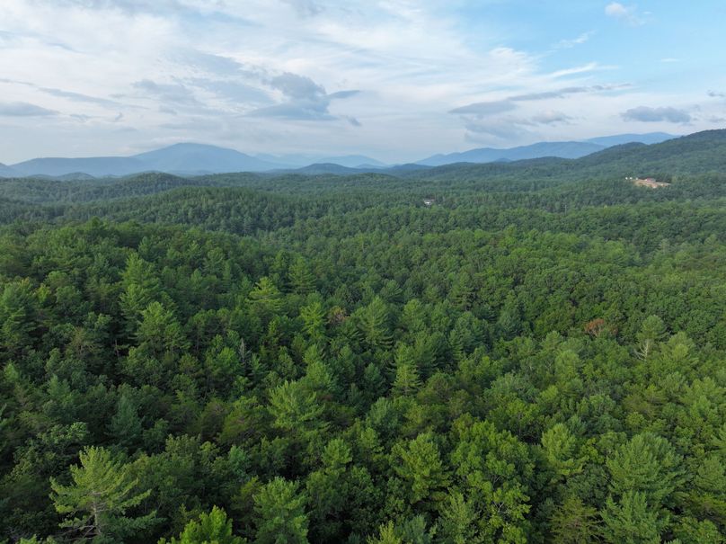 18_30.75_Alleghany_VA