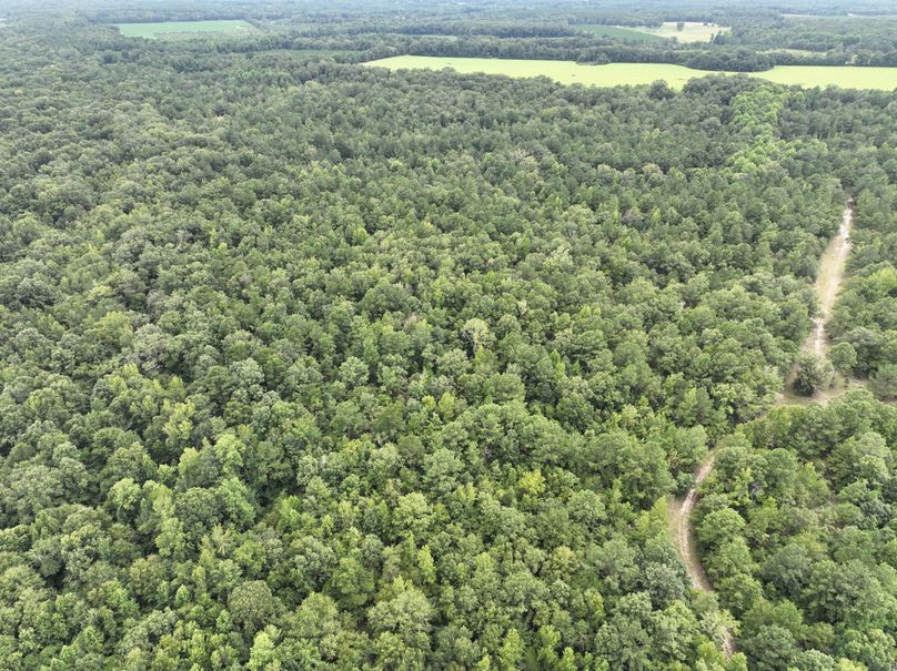 dji_fly_20230727_170622_403_1690507683222_photo 3