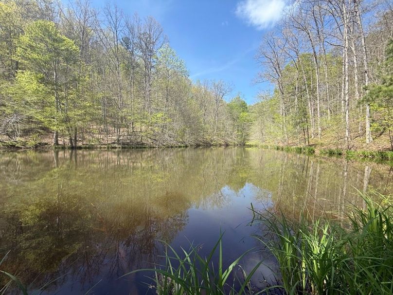 024 another view from the front right corner of the pond